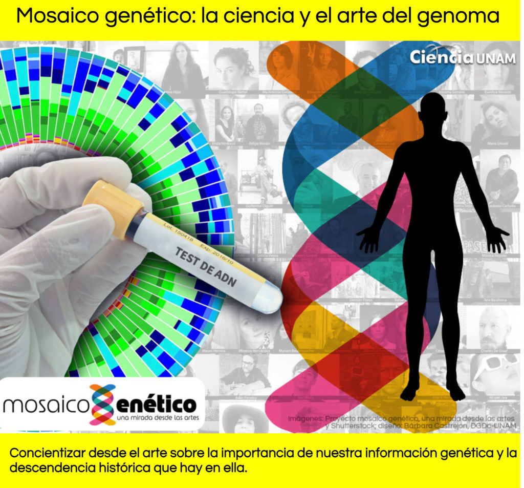 Mosaico genético, en Ciencia UNAM…